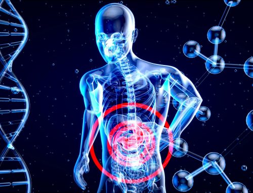 Can Liver Damage Be Reversed? A Complete Guide to Liver Healing, Recovery, and Regeneration